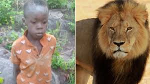 boy survives lion territory, Zimbabwe